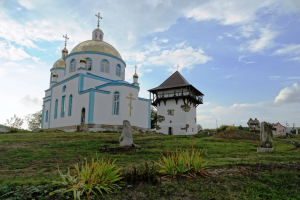 Заповідник Буша